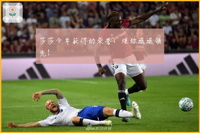 莎莎今年获得的荣誉，堪称遥遥领先！